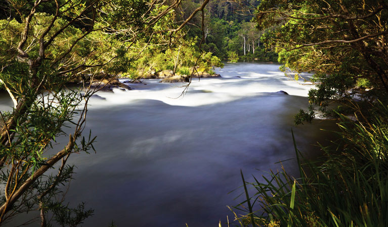 Nymboida River, Nymboi-Binderay National Park. Photo: &copy; Rob Cleary