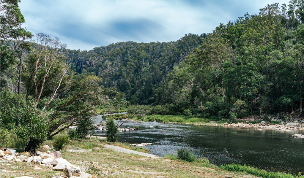 Campsite on the bank of Nymboida River, The Junction campground, Nymboi-Binderay-National-Park. Photo: Jay Black, &copy; DCCEEW