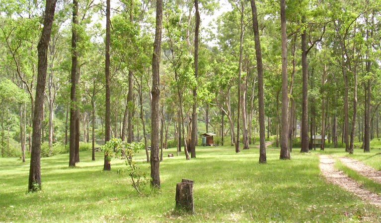 River campground, Nymboida National Park. Photo &copy; David Redman