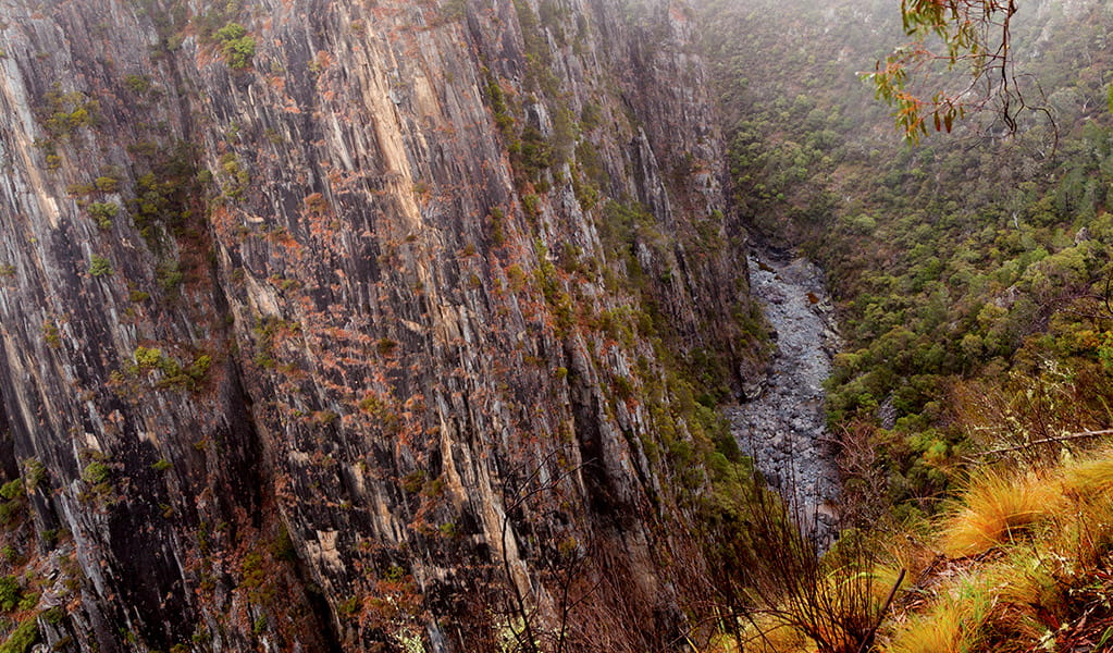 View of natural rockslide at the base of a very steep gorge wall in Oxley Wild Rivers National Park. Photo credit: Rob Cleary &copy; DPIE