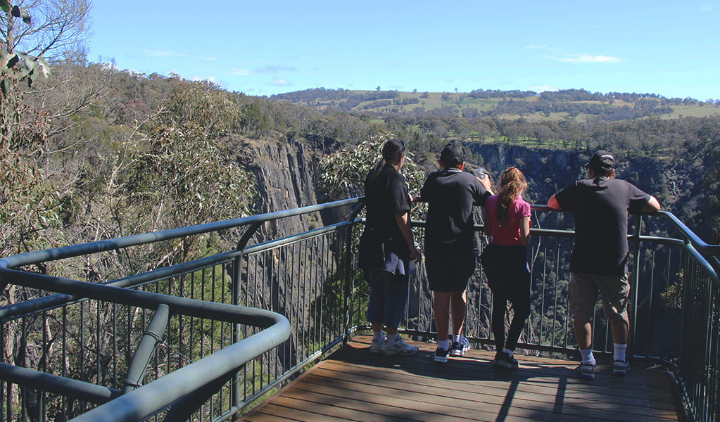 Four visitors stand on a wood platform with metal rails and look out over a deep gorge. Photo &copy; Jessica Stokes