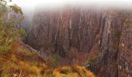 View of steep canyon walls with cliff tops shrouded in mist, in Oxley Wild Rivers National Park. Photo credit: Rob Cleary &copy; DPIE
