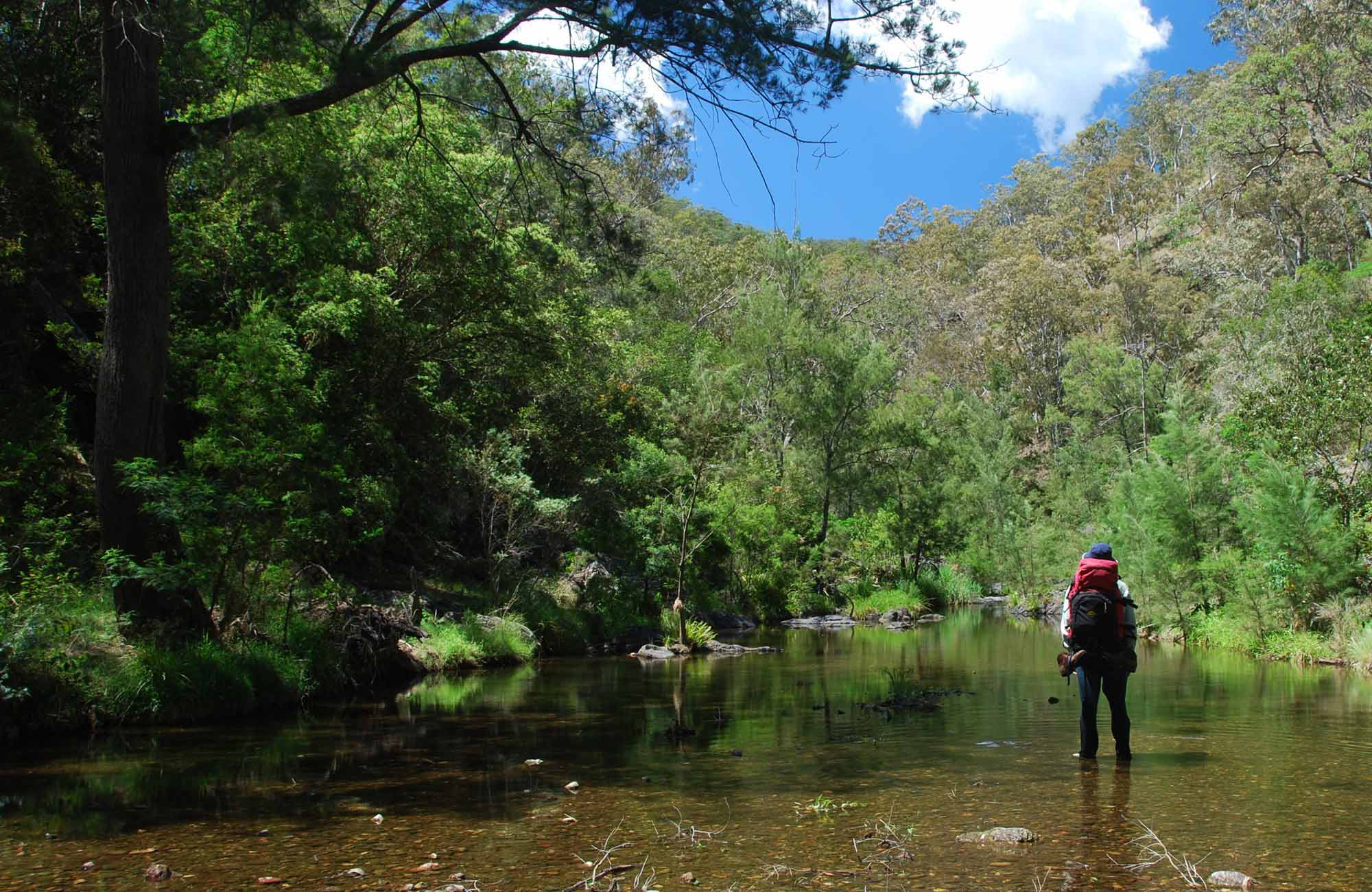 Green Gully Track, Oxley Wild Rivers National Park. Photo: Shane Rumming