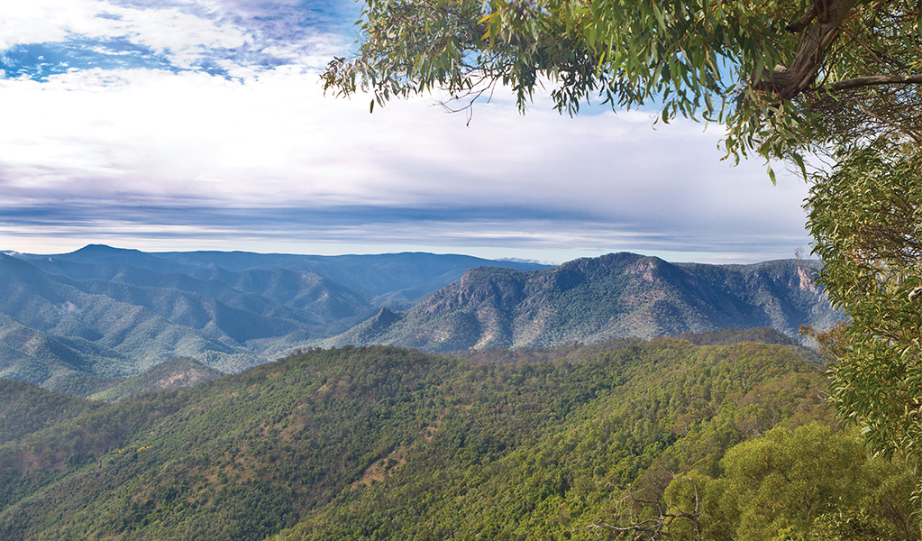 Views of Aspley River Gorge. Photo: Robert Cleary/DCCEEW &copy; OEH