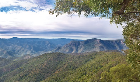 Views of Aspley River Gorge. Photo: Robert Cleary/DCCEEW &copy; OEH