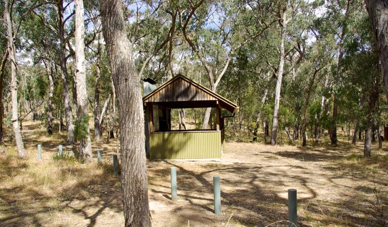 Budds Mare Campground, Oxley Wild Rivers National Park. Photo: Piers Thomas/NSW Government