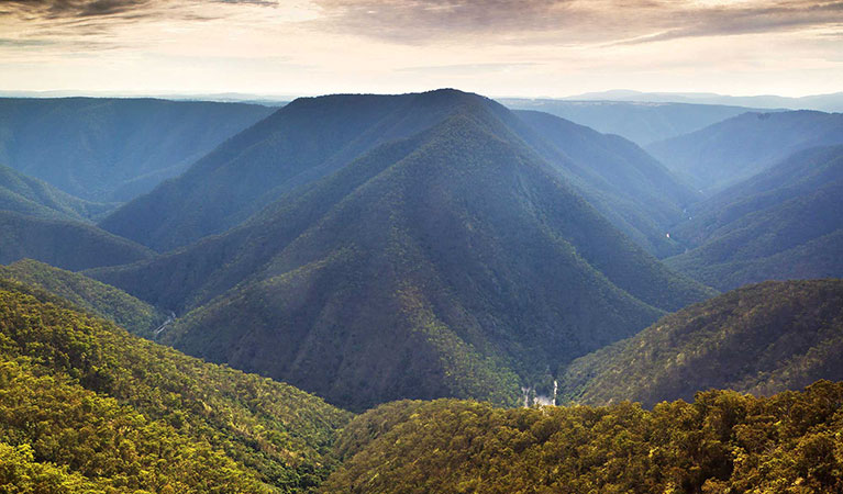 View from Budds Mare lookout, Oxley Wild Rivers National Park. Photo: &copy; Rob Cleary 