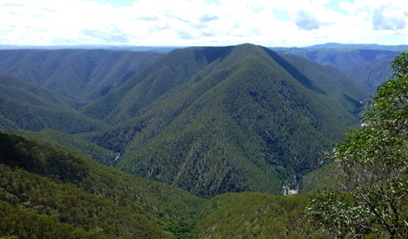 View of a river running through steep gorge country in Oxley Wild Rivers National Park. Photo credit: Piers Thomas &copy; DPIE