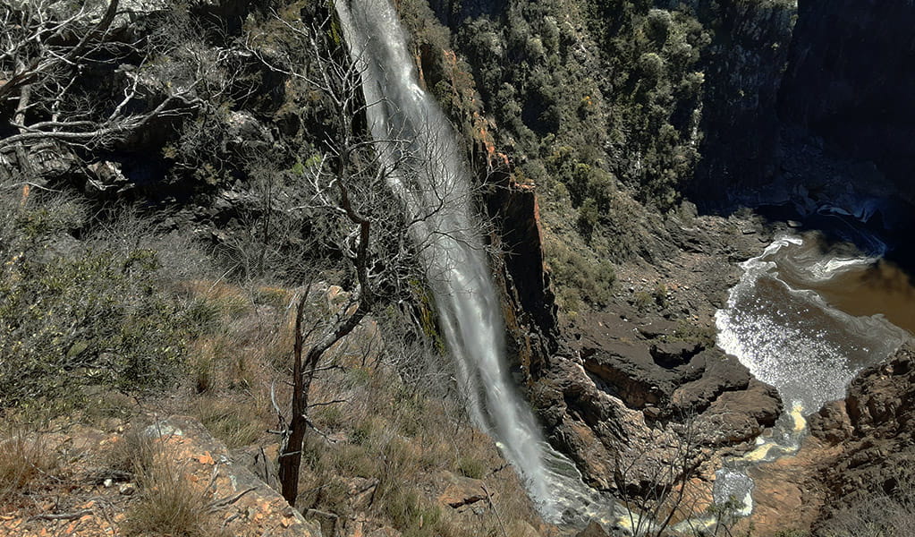 View of Dangars Falls cascading down a steep cliff face into a pool within a deep gorge. Photo credit: Josh Armitage &copy; DPIE
