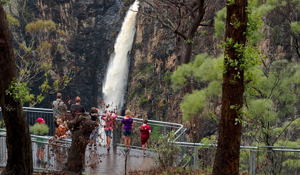 Visitors standing on a viewing platform look out over a chasm to the plume of Dangars Falls cascading down a steel cliff wall. Photo credit: Leah Pippos &copy; DPIE