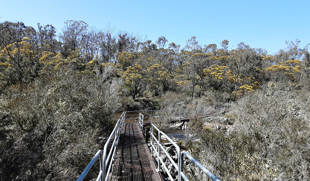 A long metal walkway passes over a river in a forest setting. Photo credit: Josh Armitage &copy; DPIE