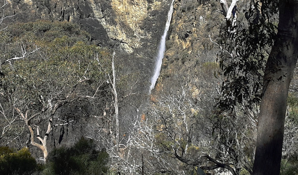 View past trees and bushes to a waterfall plume cascading down a steep and rugged cliff. Photo credit: Josh Armitage &copy; DPIE