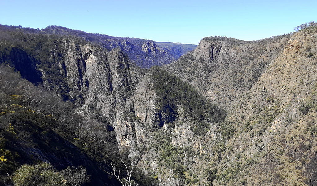  View of a steep rockwall set in a rugged bushland landscape of ridges and ravines. Photo credit: Josh Armitage &copy; DPIE