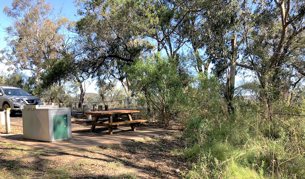 Picnic area with a picnic table and barbecue set in a clearing surrounded by bushland. Photo &copy; Jessica Stokes
