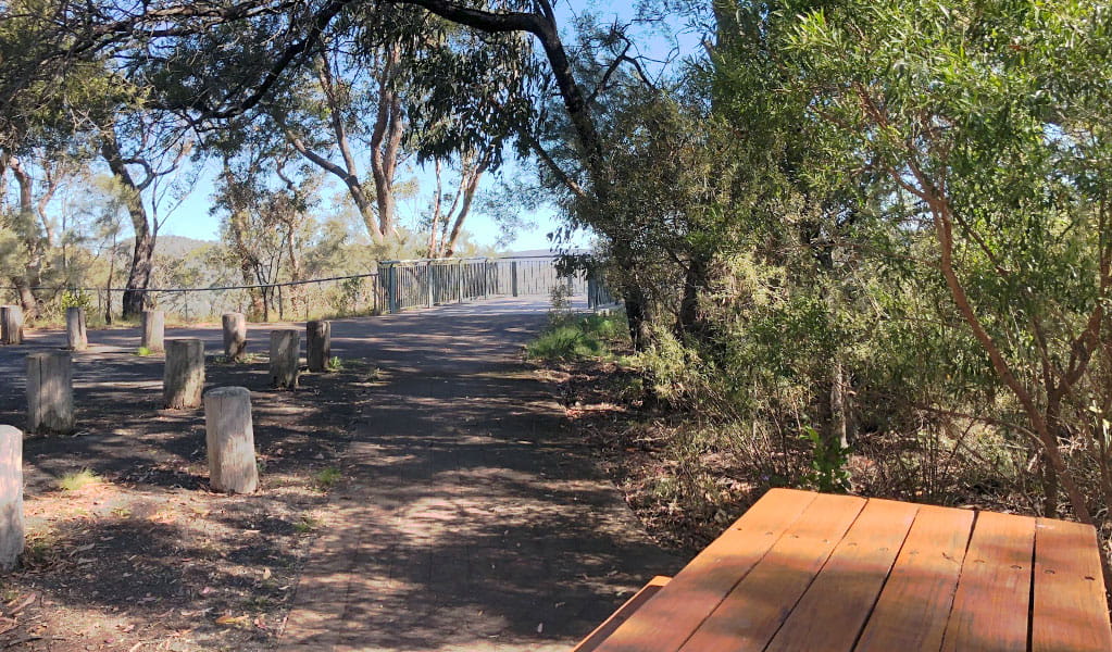 View of a picnic table set in a bush clearing, with a viewing platform in the background. Photo &copy; Jessica Stokes