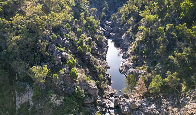 View from Gara Gorge lookout down into the gorge, Oxley Wild Rivers National Park. Credit: David Waugh &copy; David Waugh