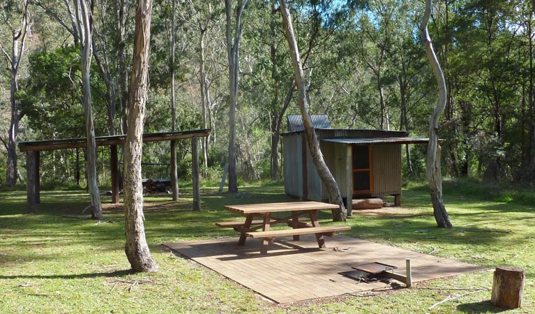 Green Gully track, Oxley Wild Rivers National Park. Photo: Piers Thomas