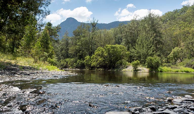 Halls Peak in Oxley Wild Rivers National Park. Photo: Leah Pippos &copy; DPIE