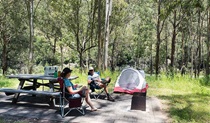 Halls Peak campground in Oxley Wild Rivers National Park. Photo: Leah Pippos &copy; DPIE