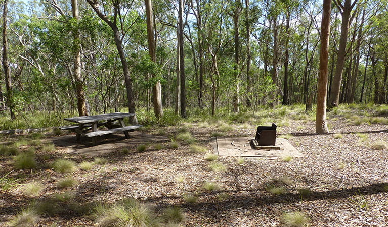 A picnic table and wood barbecue at Long Point campground in Oxley Wild Rivers National Park. Photo: Piers Thomas &copy; DPIE