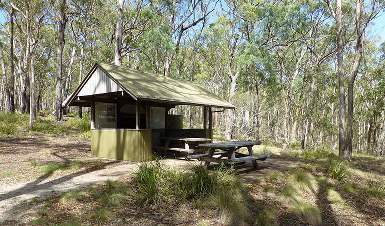 A picnic table and shelter at Long Point campground in Oxley Wild Rivers National Park. Photo: Piers Thomas &copy; DPIE