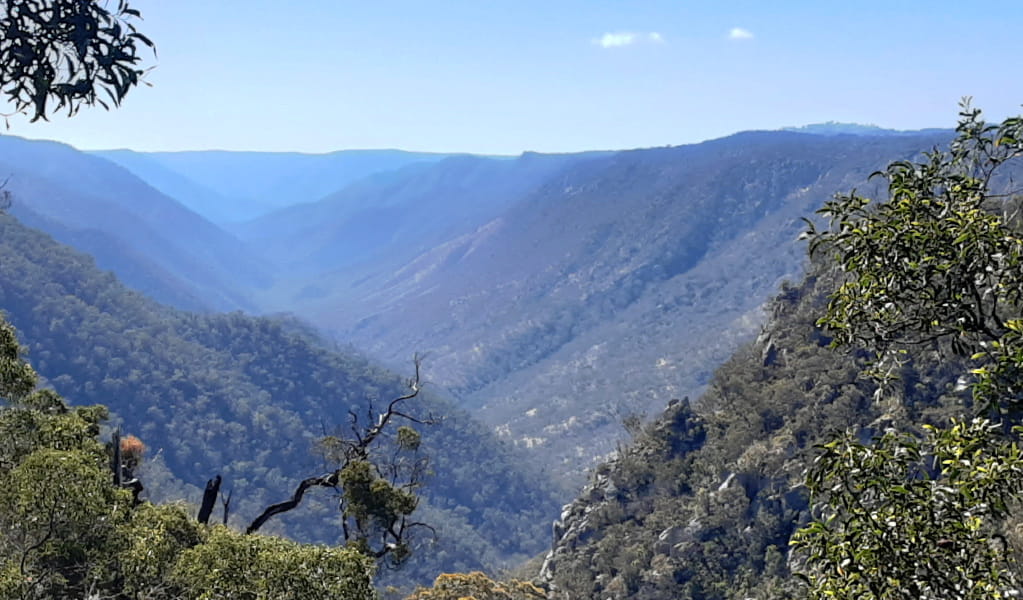 View of wild bushland growing on a landscape of rugged and rocky ridges and gorges. Photo credit: Josh Armitage &copy; DPIE