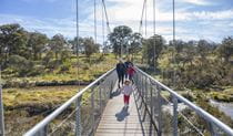 Adults and children walking on suspension bridge Oxley Wild Rivers National Park. Photo: John Smith &copy; DPIE