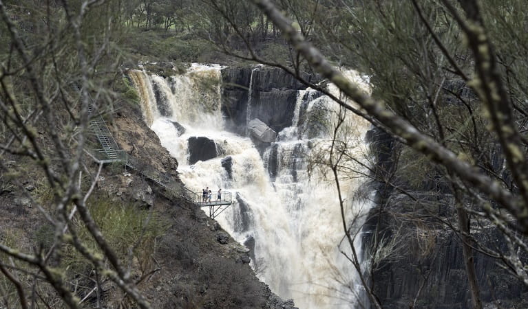 Stalkers view at Apsley Falls, Oxley Wild Rivers National Park. Photo: Leah Pippos/DPIE
