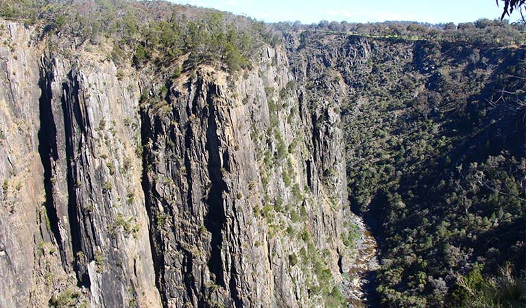 View from Apsley Lions lookout, on Apsley Gorge Rim walking track. Photo: Jessica Stokes &copy; DPE