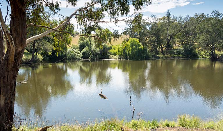 View of the river at Blue Hole picnic area. Photo: Leah Pippos &copy; DPIE