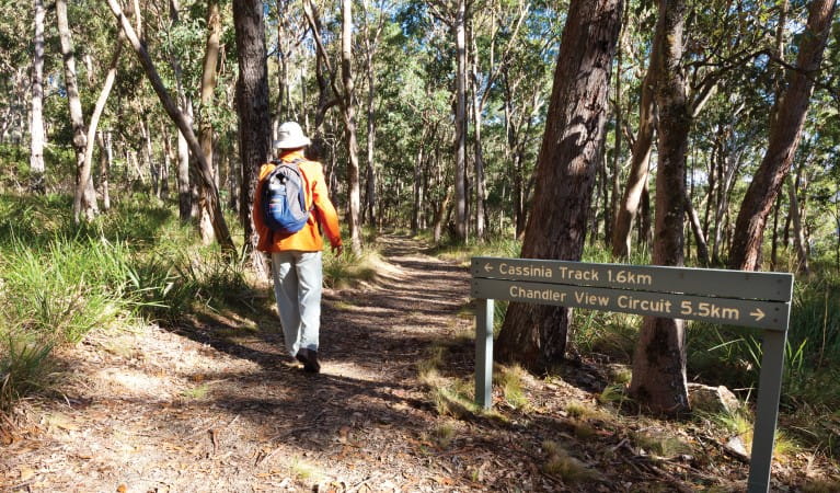 A man walking past directional signage along Cassinia walking track in Oxley Wild Rivers National Park. Photo: Rob Cleary &copy; OEH