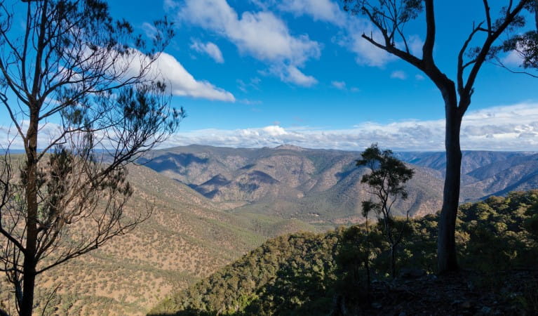 The view of Macleay Gorge from Cassinia walking track in Oxley Wild Rivers National Park. Photo: Rob Cleary &copy; OEH
