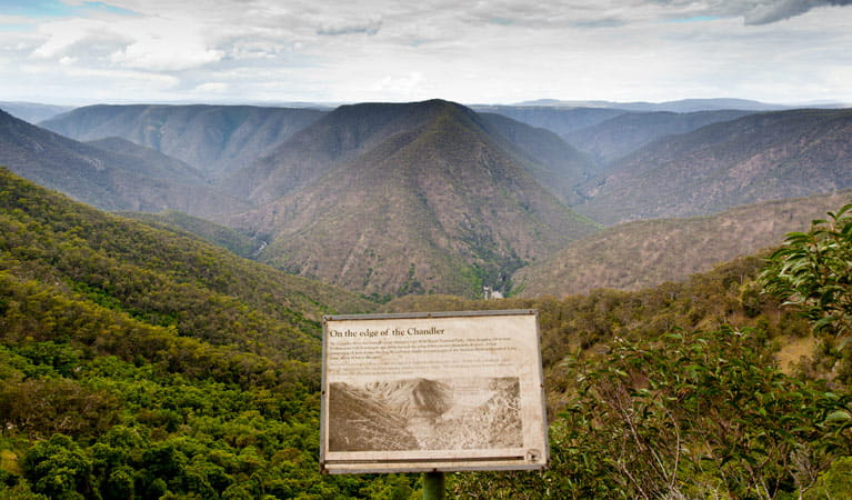 Chandler View circuit walk, Oxley Wild Rivers National Park. Photo: Rob Cleary