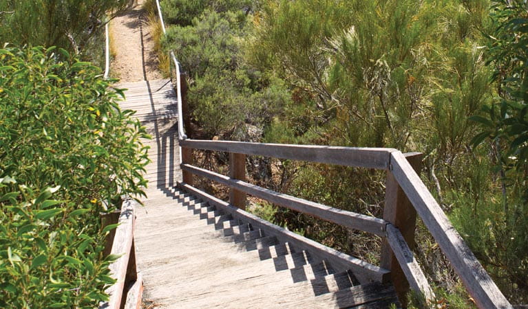 Stairs along Chandler walk, Oxley Wild Rivers National Park. Photo: Rob Cleary