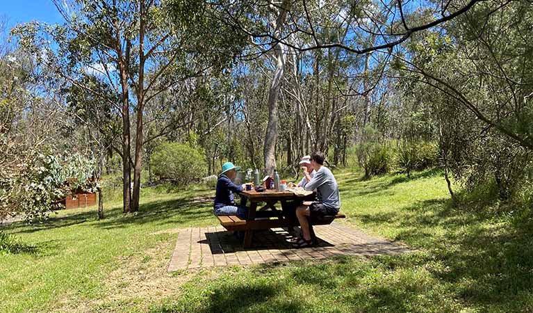 Picnic table at Dangars Falls picnic area in Oxley Wild Rivers National Park. Photo credit: Barbara Webster &copy; DPIE