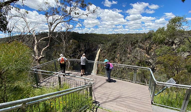 Visitors looking out at Dangar Falls in Oxley Wild Rivers National Park. Photo credit: Barbara Webster &copy; DPIE