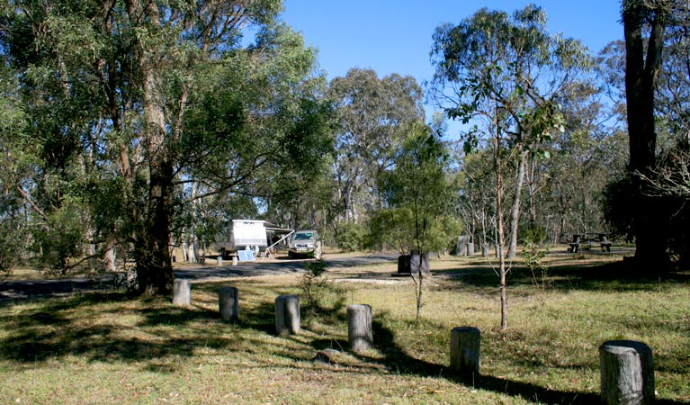 Dangars Gorge campground, Oxley Wild Rivers National Park. Photo: OEH