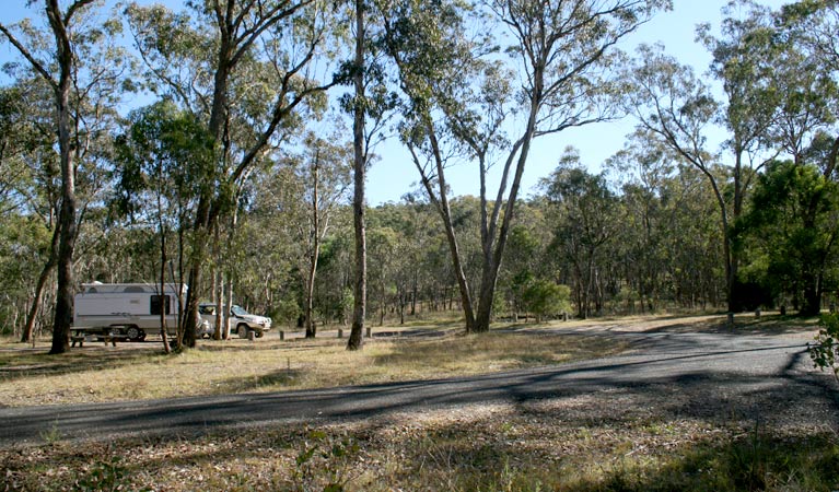 Dangars Gorge campground, Oxley Wild Rivers National Park. Photo: OEH