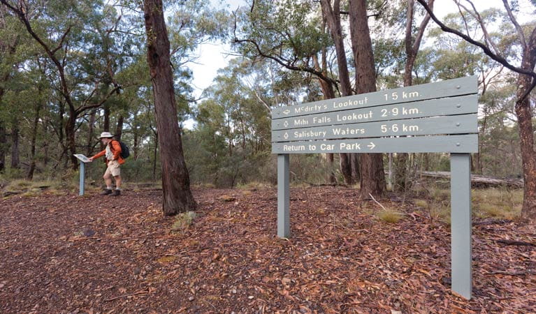 A person on McDirtys walking track, Oxley Wild Rivers National Park. Photo: Rob Cleary &copy; OEH