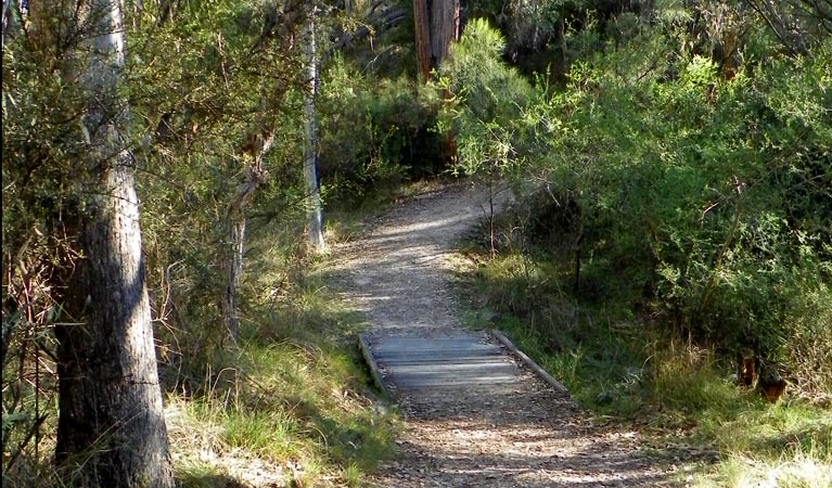 McDirtys walk, Oxley Wild Rivers National Park. Photo: J Lehmann