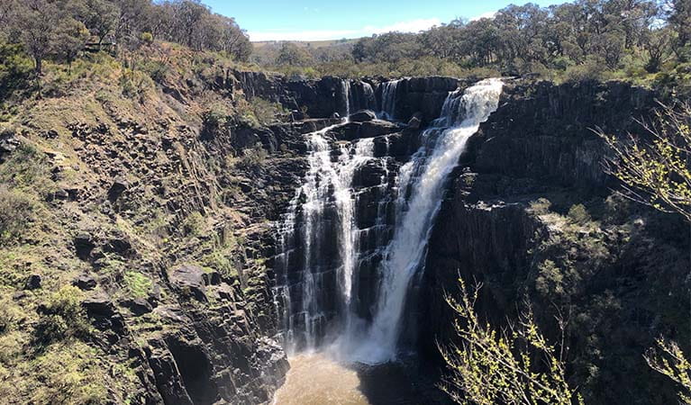 View of Apsley Falls from Oxley lookout on Oxley walking track. Photo &copy; Jessica Stokes