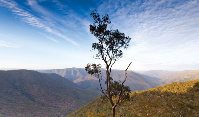 View of the landscape of Oxley Wild Rivers National Park. Photo &copy; Rob Cleary