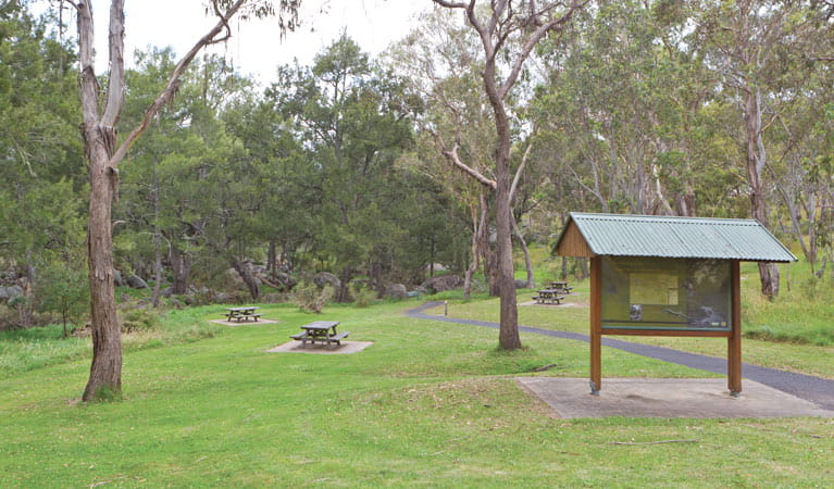 Threlfall pinic area entrance, Oxley Wild Rivers National Park. Photo: Rob Cleary