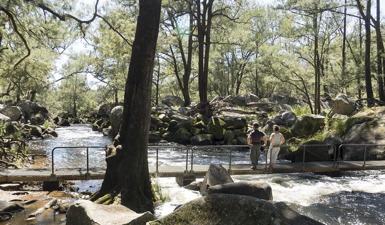 Threlfall walking track, Oxley Wild River National Park. Photo: Leah Pippos &copy;DPIE