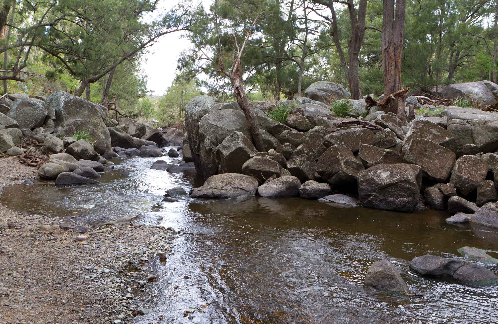 Threlfall walking track hero, Oxley Wild River National Park. Photo: Rob Cleary