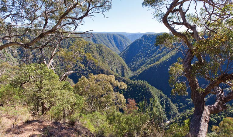 View from Tia Falls lookout. Photo: Rob Cleary