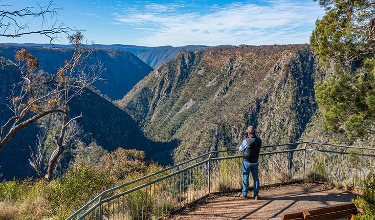 View from Tia Falls walk, Oxley Wild Rivers National Park. Photo: Josh Smith &copy; DPE