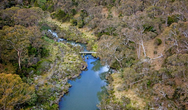 Tiara walking track, Tia Falls, Oxley Wild River National Park. Photo: Gerhard Koertner/NSW Government