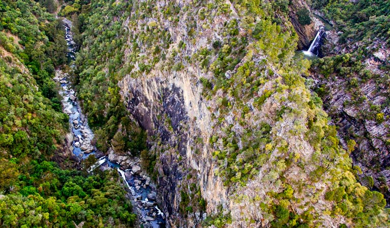 Tiara walking track, Tia Falls, Oxley Wild River National Park. Photo &copy; Gerhard Koertner