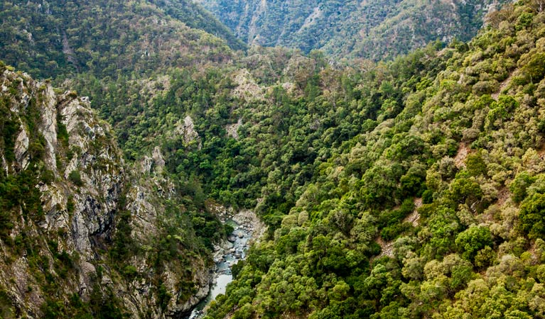 Tiara walking track, Tia Falls, Oxley Wild River National Park. Photo &copy; Gerhard Koertner